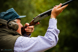 Action shot of gun shooting at pheasant