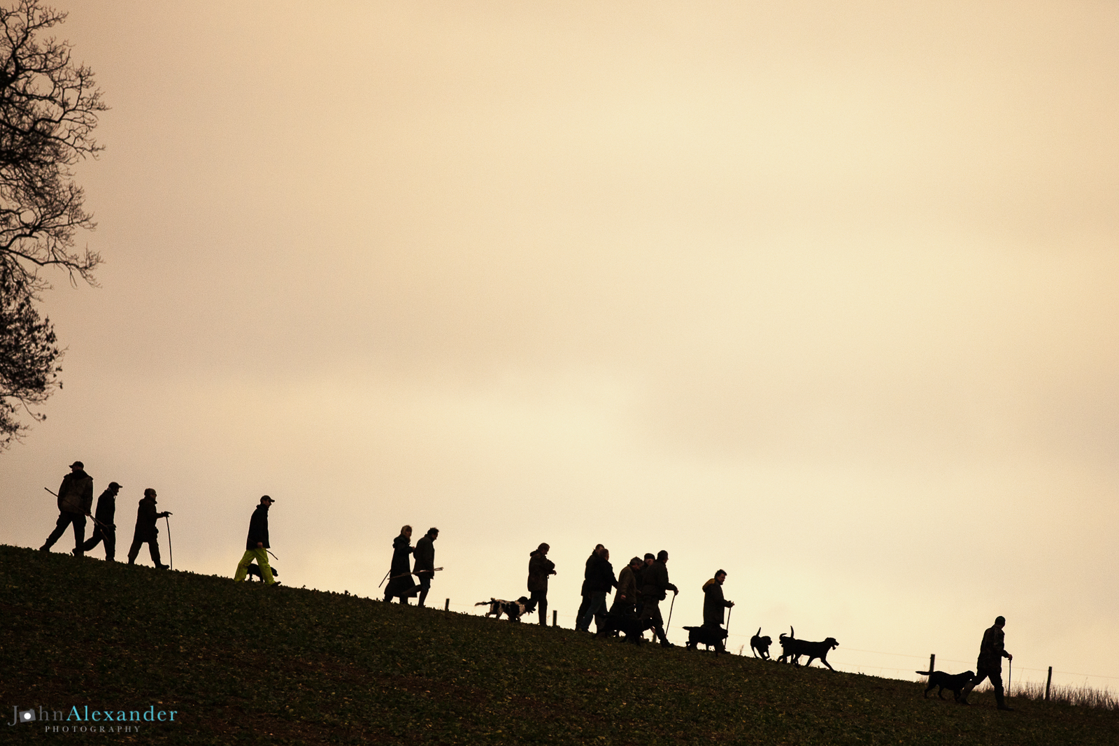 silhouette of beaters on a ridge with gun dogs at sunset