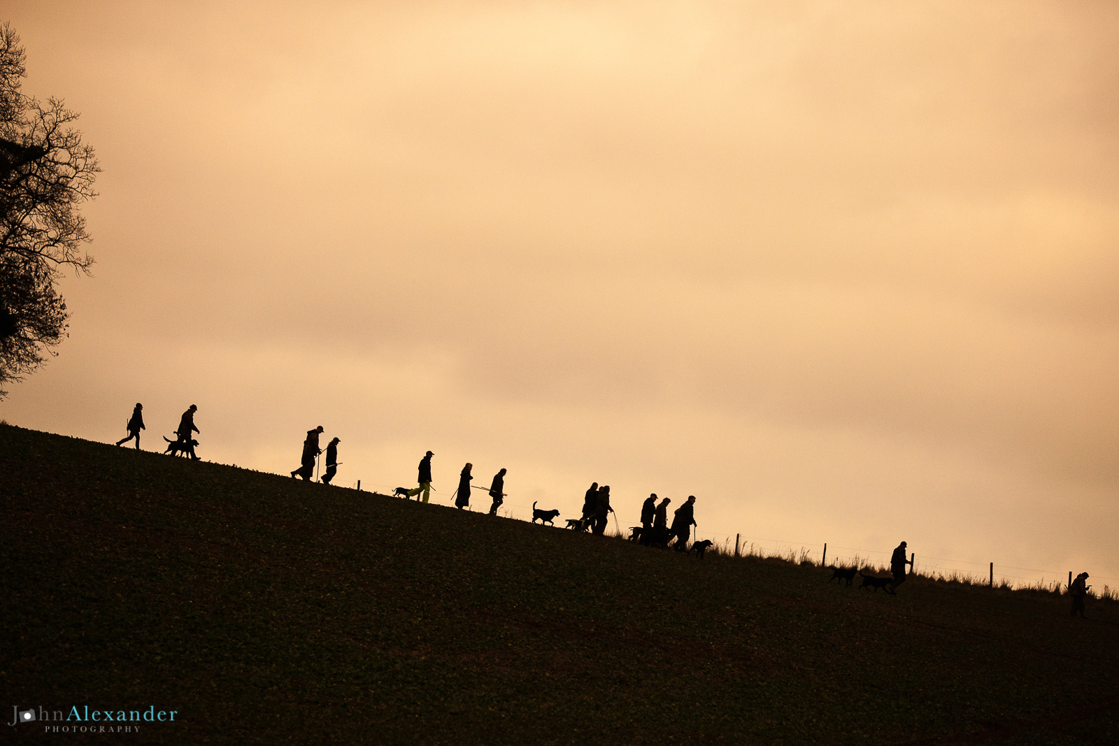silhouette of beaters on a ridge with gun dogs at sunset