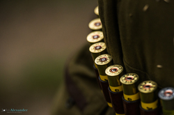 shotgun cartridge belt on a shoot in Wales, UK