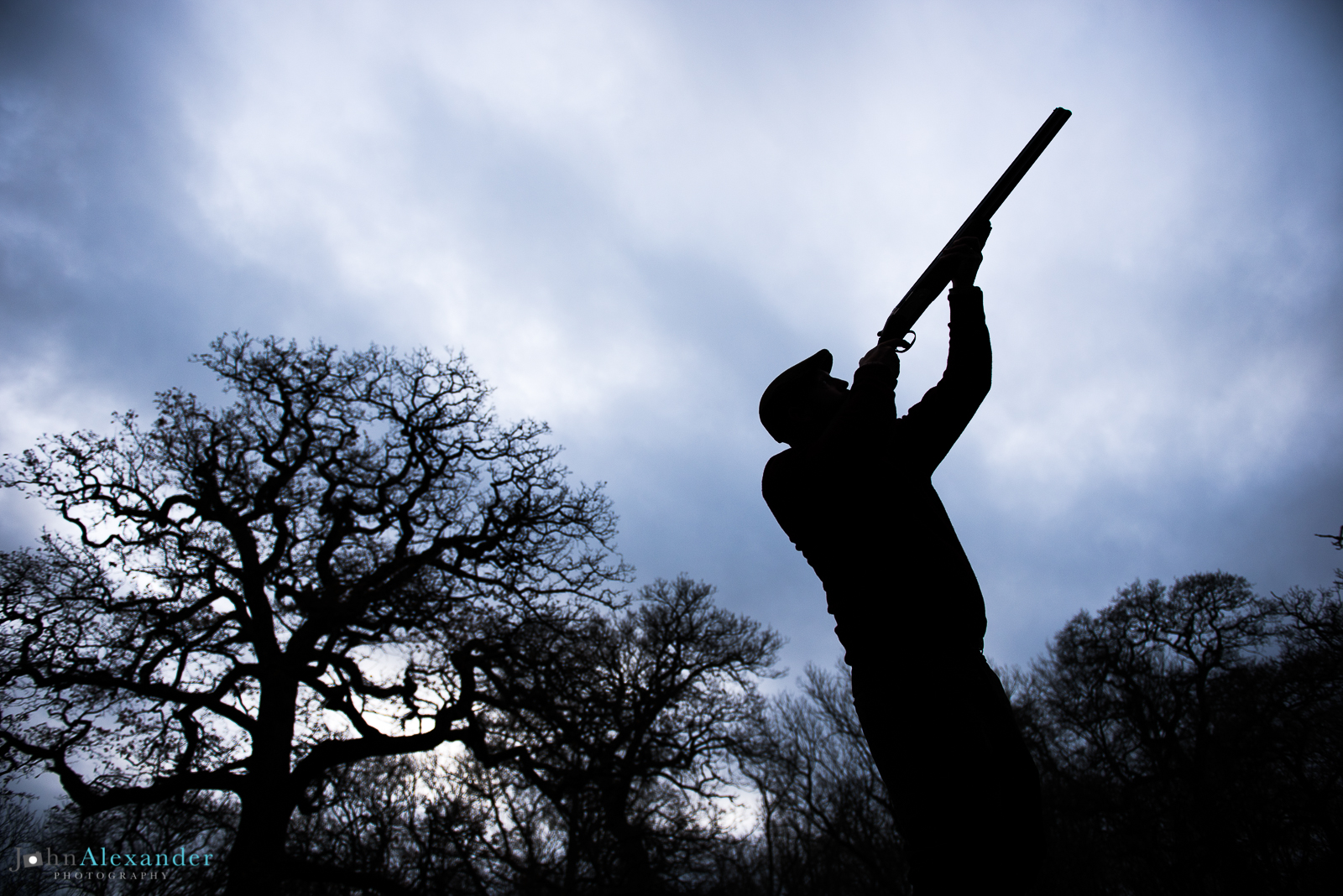 silhouette of gun shooting in a wooded drive