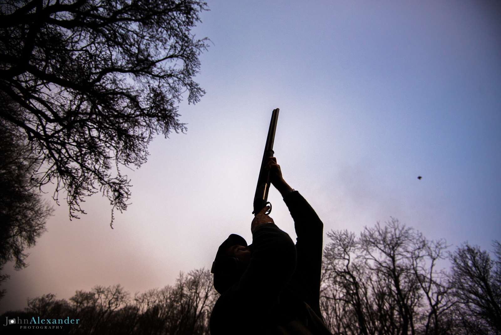 gun shooting high pheasant amongst the trees