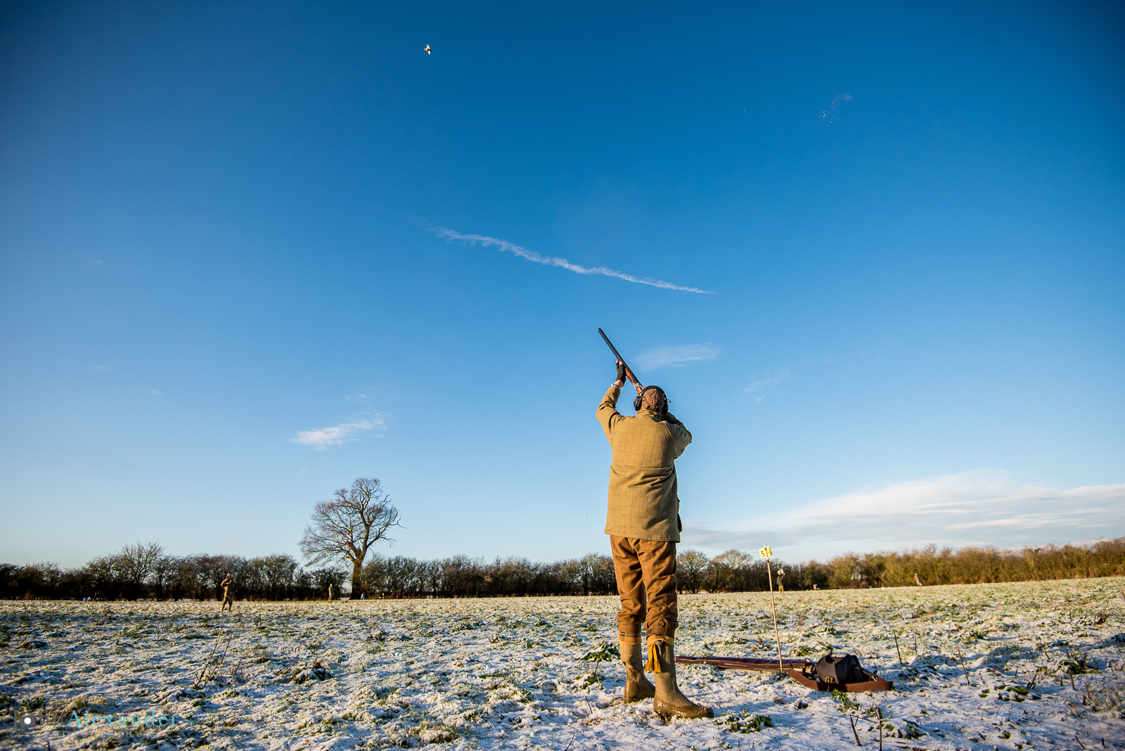 gun shooting pheasants in the snow