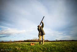gun shooting high pheasant from low angle