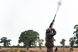 Gun aiming high and firing at pheasants flying overhead on a driven game shoot in the UK