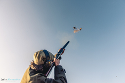 Gun shooting at two pheasants in blue skies