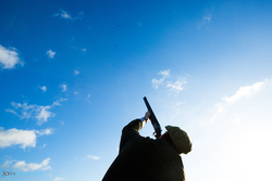 silhouette of gun shooting at pheasant in blue sky