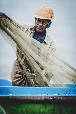 Fisherman Unloading His Net