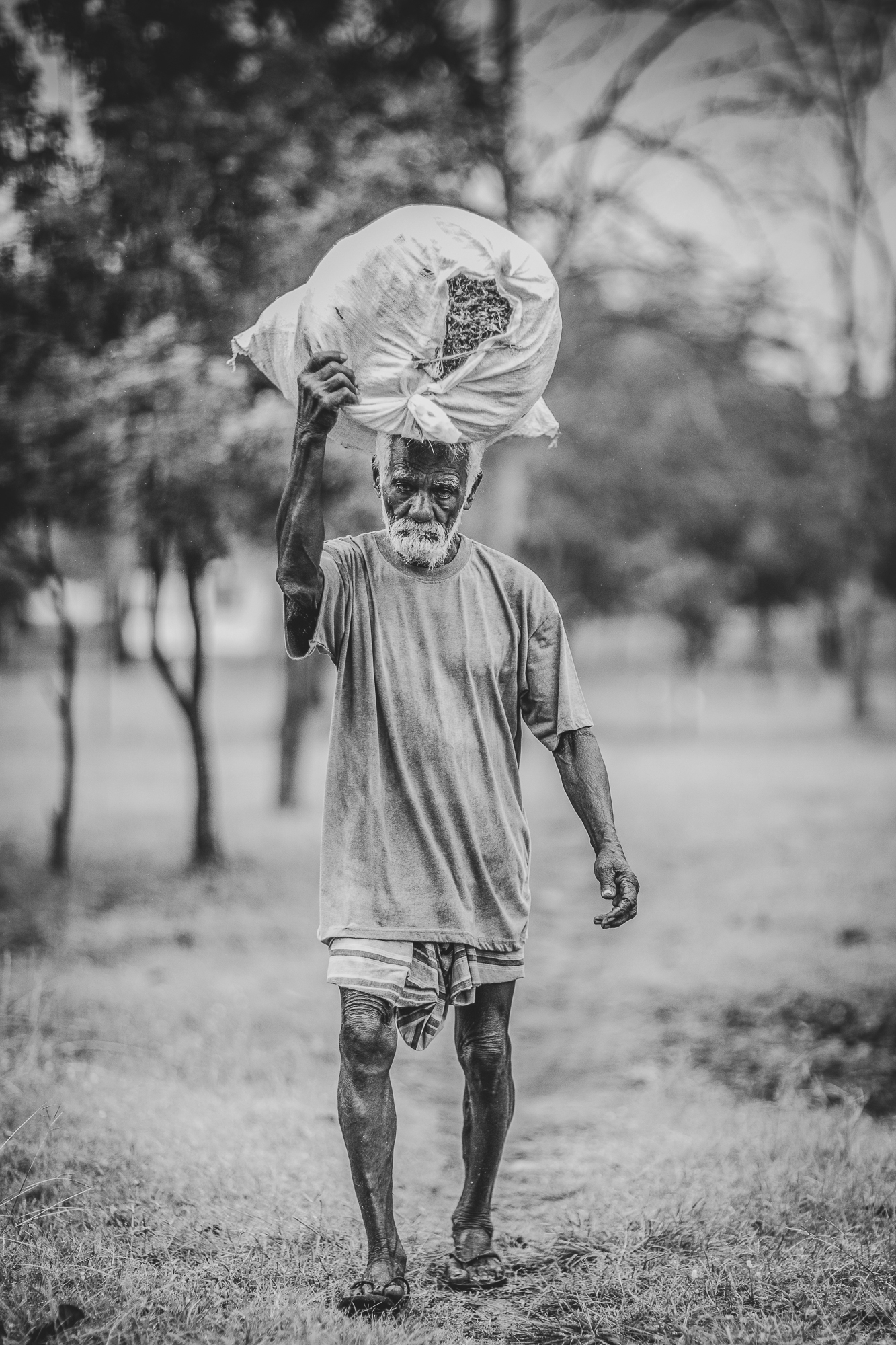 Sri Lankan Man carrying a sack in black and white