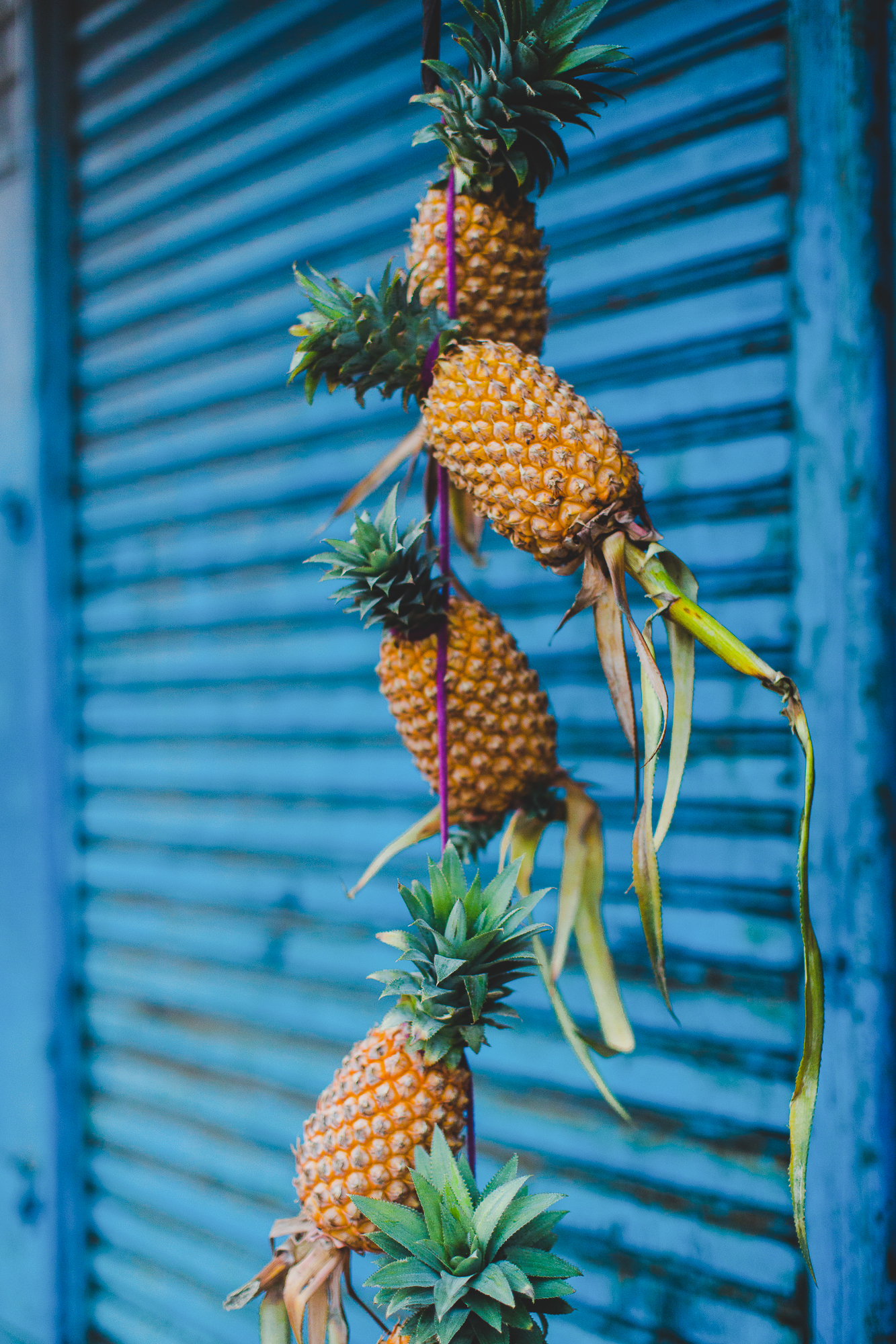 Pineapples for sale hung up