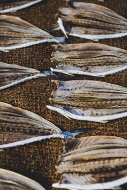 Descaled fish drying 